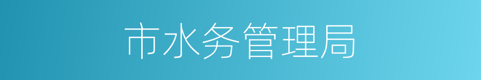 市水务管理局的同义词
