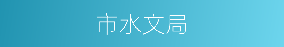 市水文局的同义词