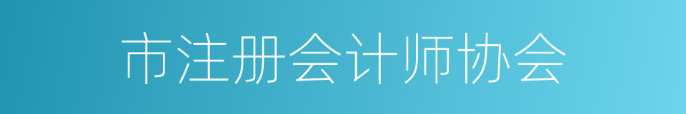 市注册会计师协会的同义词