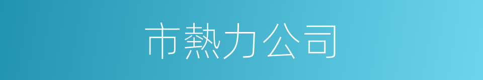 市熱力公司的同義詞
