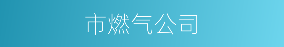 市燃气公司的同义词