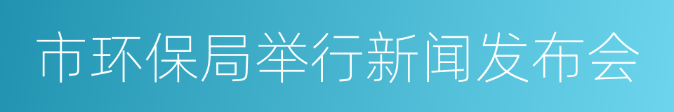 市环保局举行新闻发布会的同义词