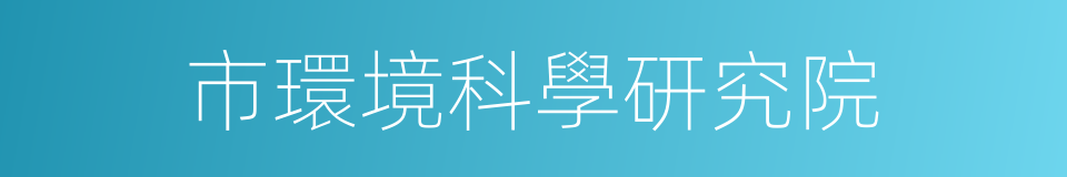 市環境科學研究院的同義詞
