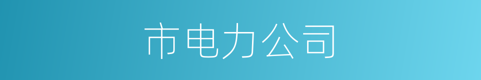 市电力公司的同义词