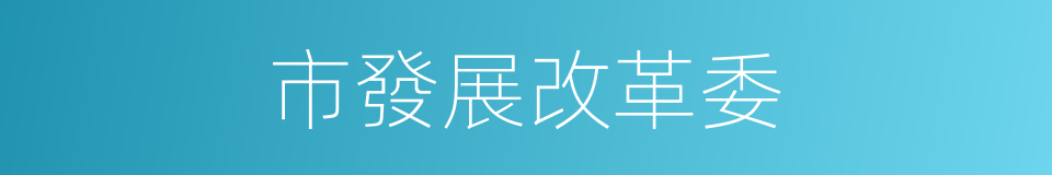 市發展改革委的同義詞