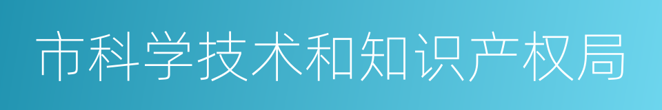 市科学技术和知识产权局的同义词