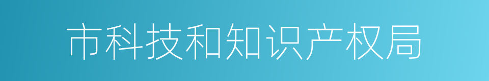 市科技和知识产权局的同义词