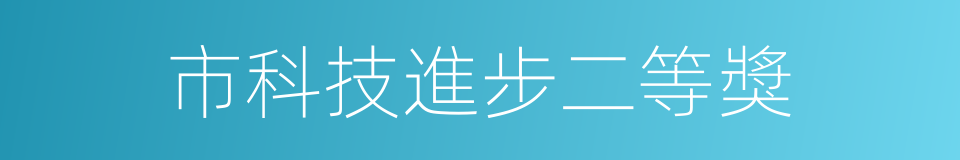 市科技進步二等獎的同義詞