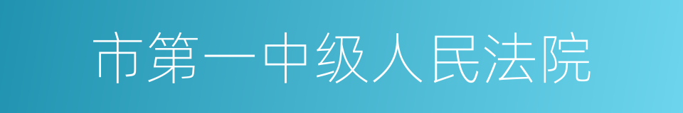 市第一中级人民法院的同义词