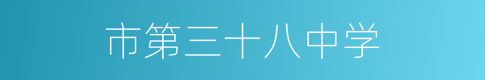 市第三十八中学的同义词