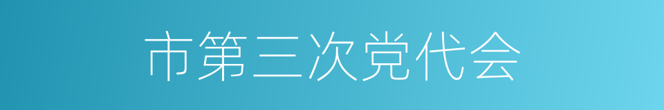 市第三次党代会的同义词