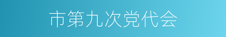 市第九次党代会的同义词