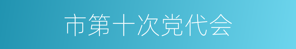 市第十次党代会的同义词