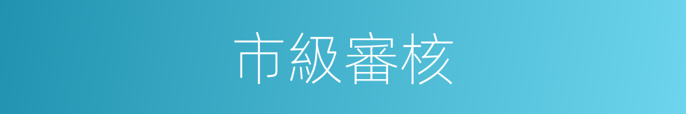 市級審核的同義詞