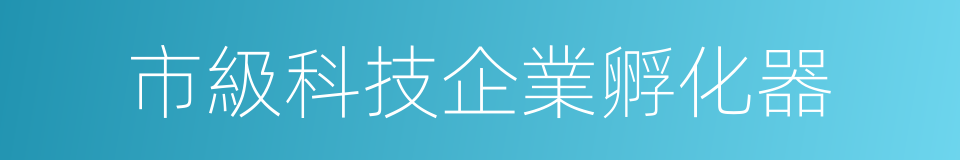 市級科技企業孵化器的同義詞
