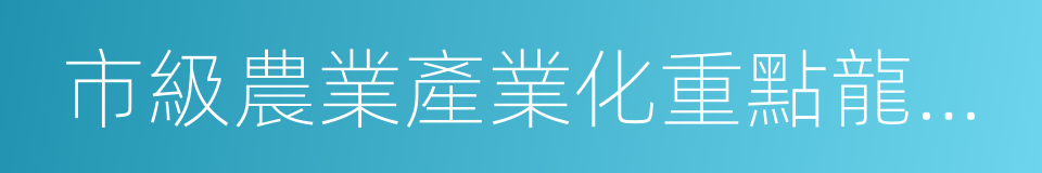 市級農業產業化重點龍頭企業的同義詞