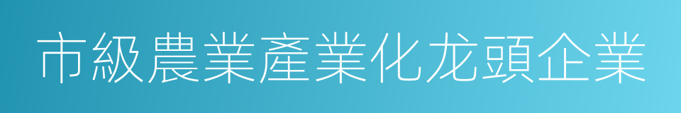 市級農業產業化龙頭企業的同義詞