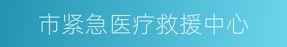 市紧急医疗救援中心的同义词