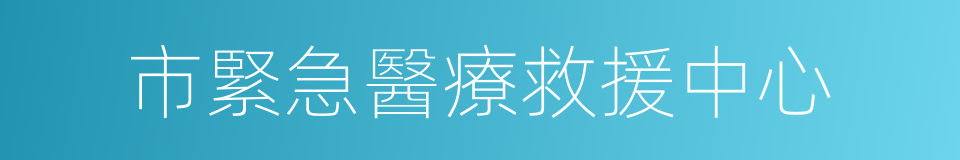 市緊急醫療救援中心的同義詞