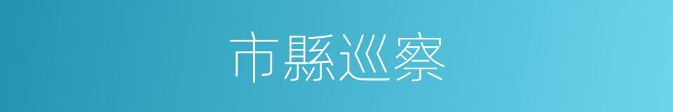 市縣巡察的同義詞