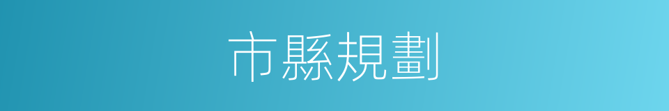 市縣規劃的同義詞