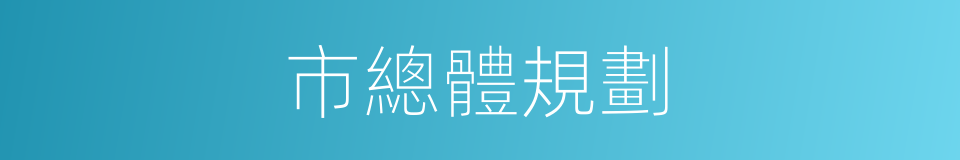 市總體規劃的同義詞