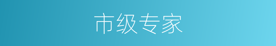 市级专家的同义词