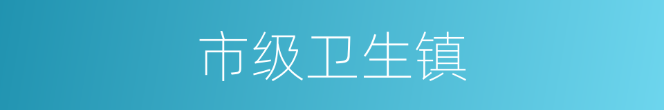 市级卫生镇的同义词