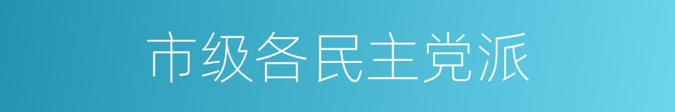 市级各民主党派的同义词