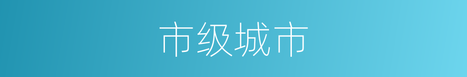 市级城市的同义词