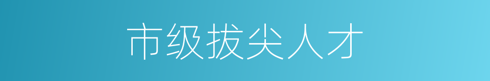 市级拔尖人才的同义词