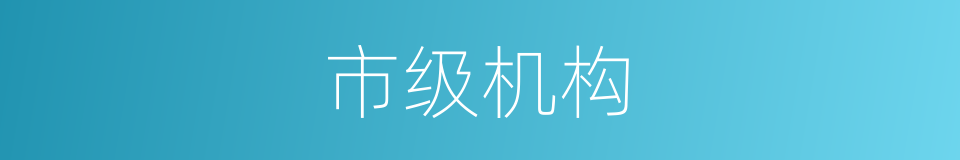 市级机构的同义词