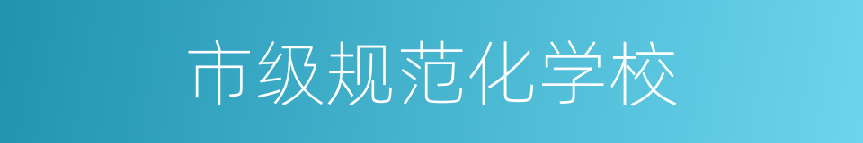市级规范化学校的同义词