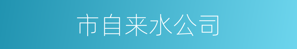 市自来水公司的同义词