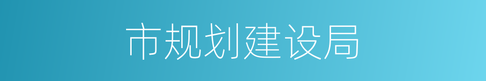 市规划建设局的同义词