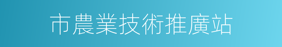 市農業技術推廣站的同義詞