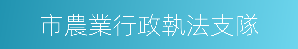 市農業行政執法支隊的同義詞