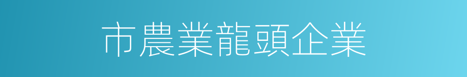 市農業龍頭企業的同義詞