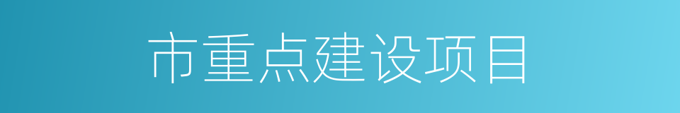 市重点建设项目的同义词