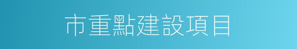 市重點建設項目的同義詞