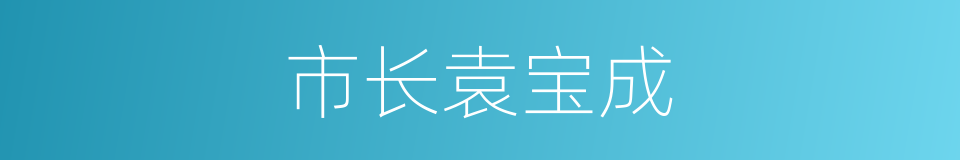 市长袁宝成的同义词