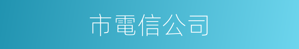 市電信公司的同義詞