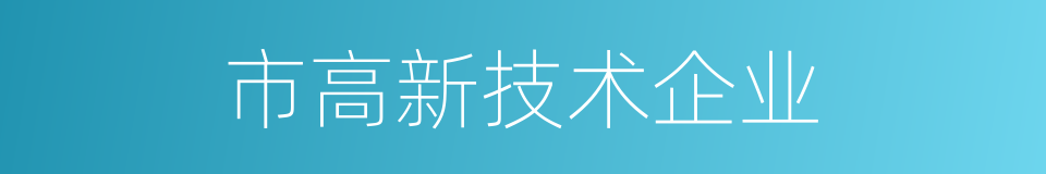 市高新技术企业的同义词