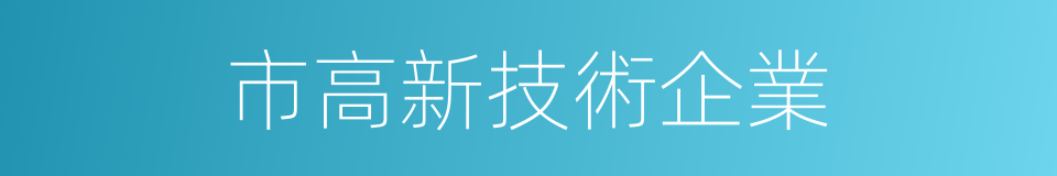 市高新技術企業的同義詞