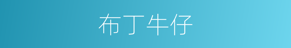 布丁牛仔的同义词