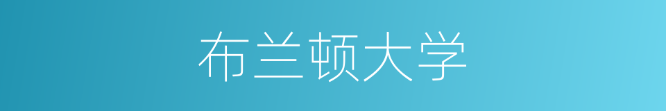 布兰顿大学的同义词