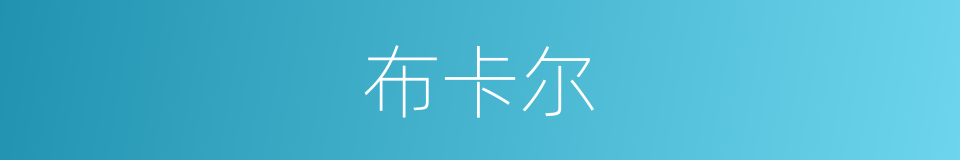 布卡尔的同义词