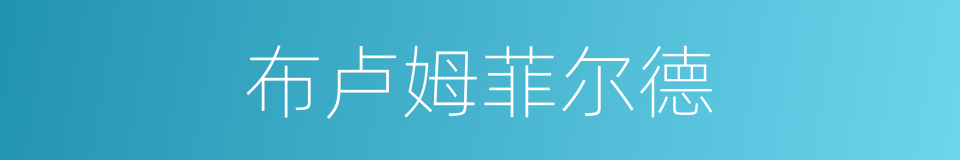 布卢姆菲尔德的同义词
