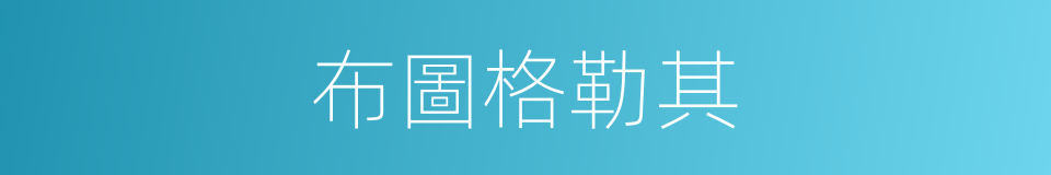 布圖格勒其的同義詞