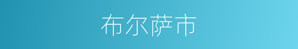 布尔萨市的同义词